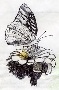 Butterfly in ink