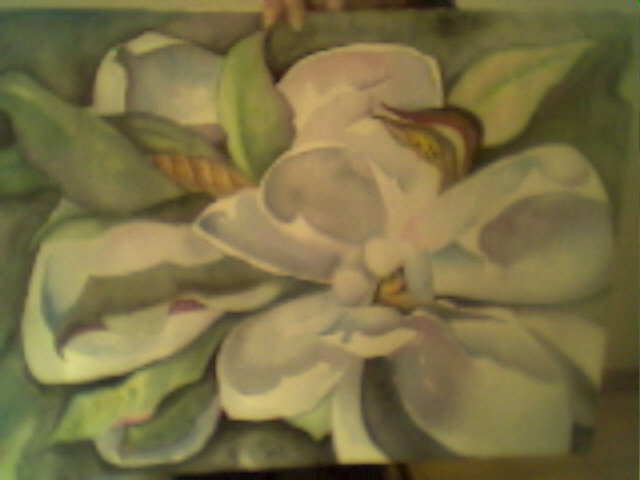 Magnolia