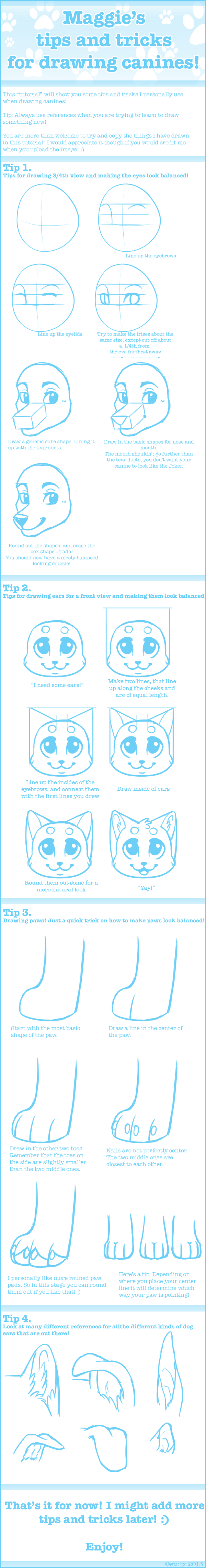 Tips and Tricks for drawing canines