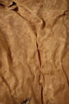 Leather texture 1