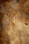 Leather texture 4 by wojtar-stock