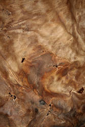 Leather texture 6