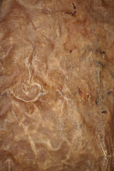 Leather texture 8