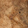 Leather texture 9