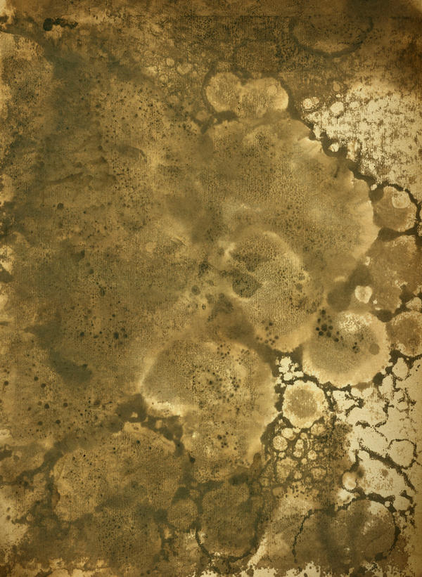 Paper texture 6 by wojtar-stock on DeviantArt