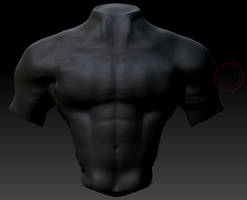 Male Torso Front