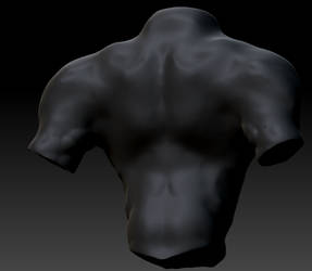 Male Torso Back