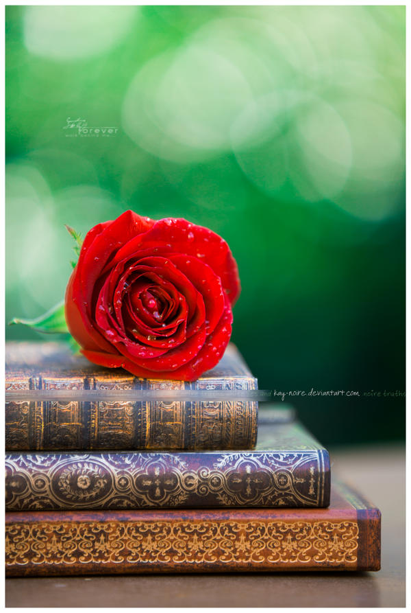 .my love affair with literature. by Kay-Noire