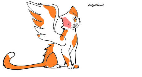 Brightheart's Wings