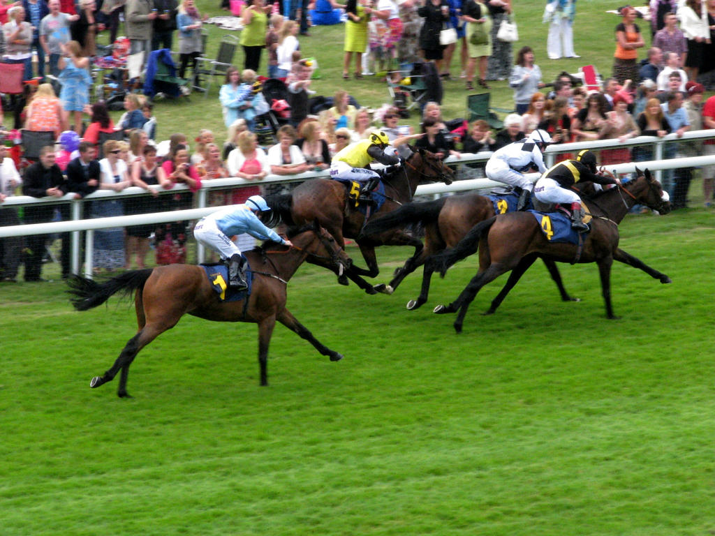 Chester Race 6 by Nuuhku87 on DeviantArt