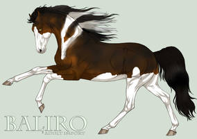 Baliro Import (for group sales)