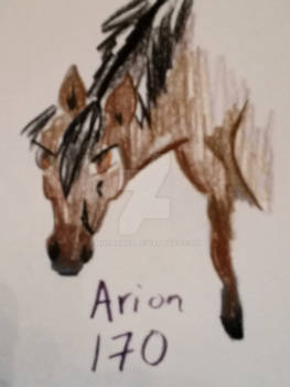 170 Arion -old ref