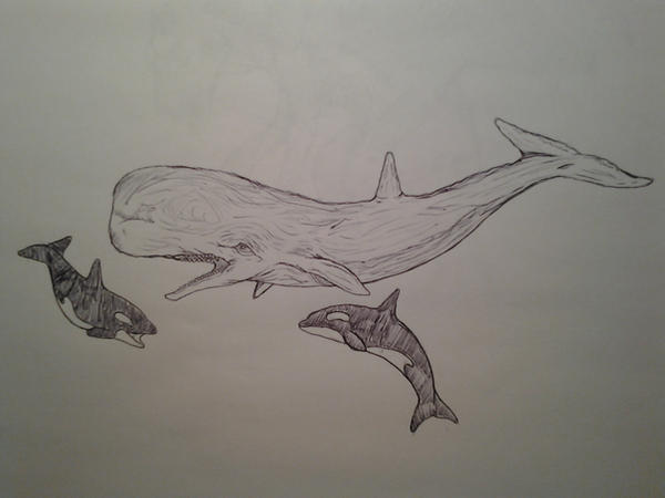 COTW#99: The 52 Hertz Whale by Trendorman on DeviantArt