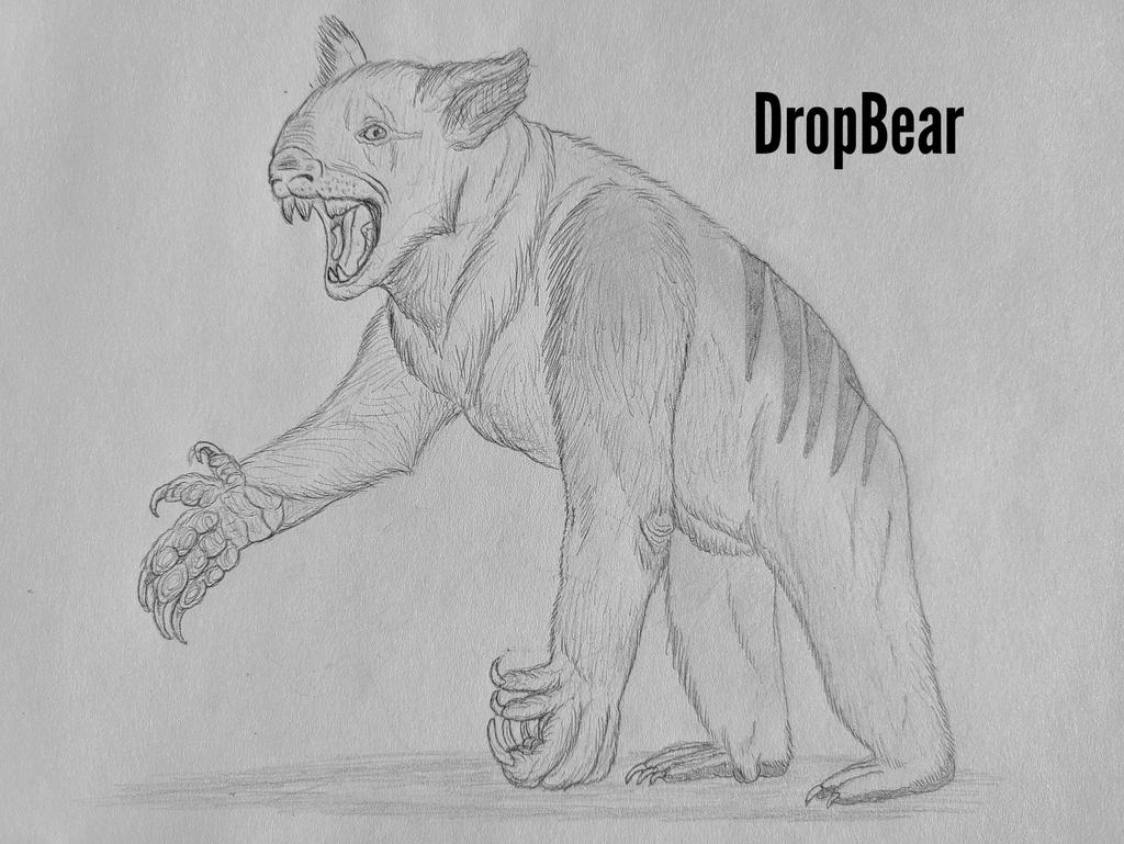 COTW#288: DropBear by Trendorman on DeviantArt