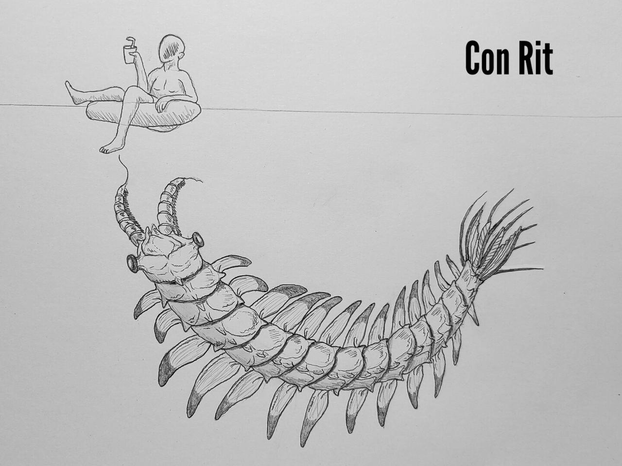 COTW#352: Con Rit by Trendorman on DeviantArt