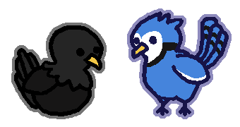 Crow and Blue Jay