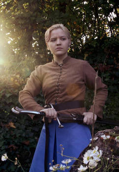 Brinne of Tarth Cosplay