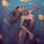 Siren - Wip