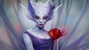 Fairy