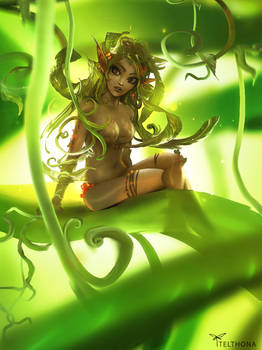 Vide Dryad