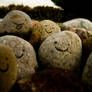 because smileys rock