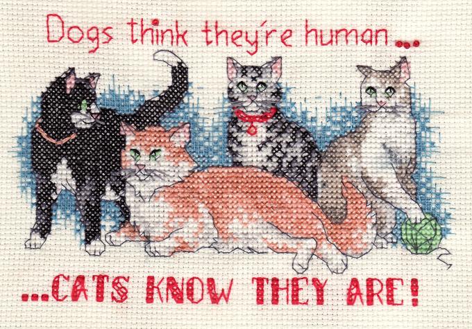 Cats Know