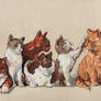 Nine Lives Kitties