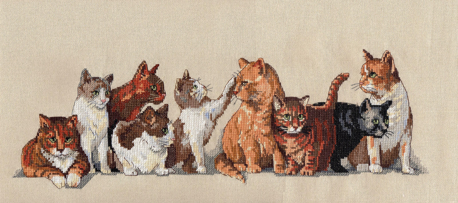 Nine Lives Kitties