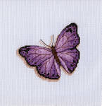 Purple Butterfly by pinkythepink