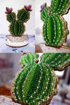 Blooming Cactus by pinkythepink