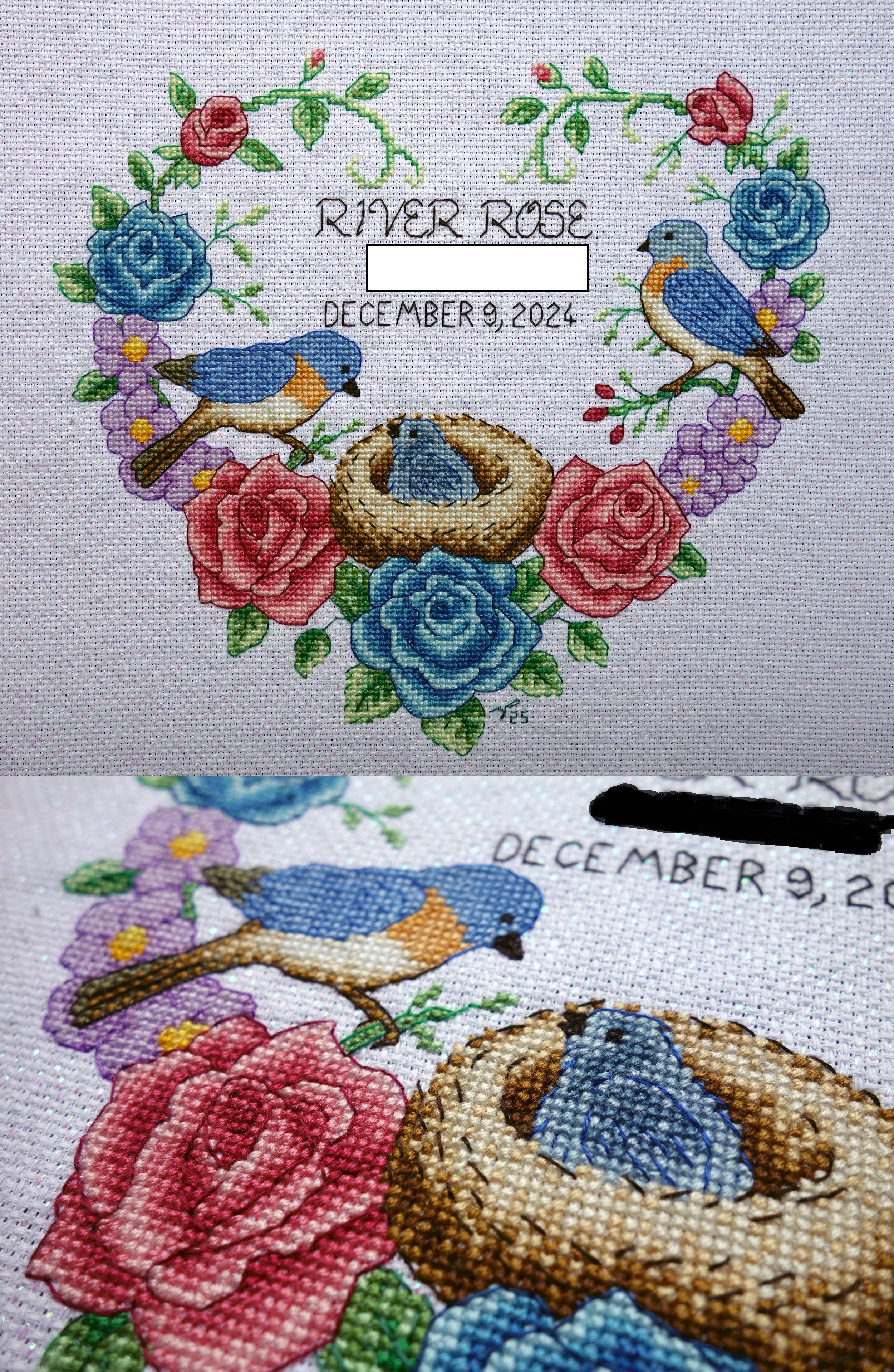 Baby Bird Birth Sampler