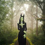 Maleficent Strolling in a Forest