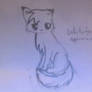 Whitefox Doodle