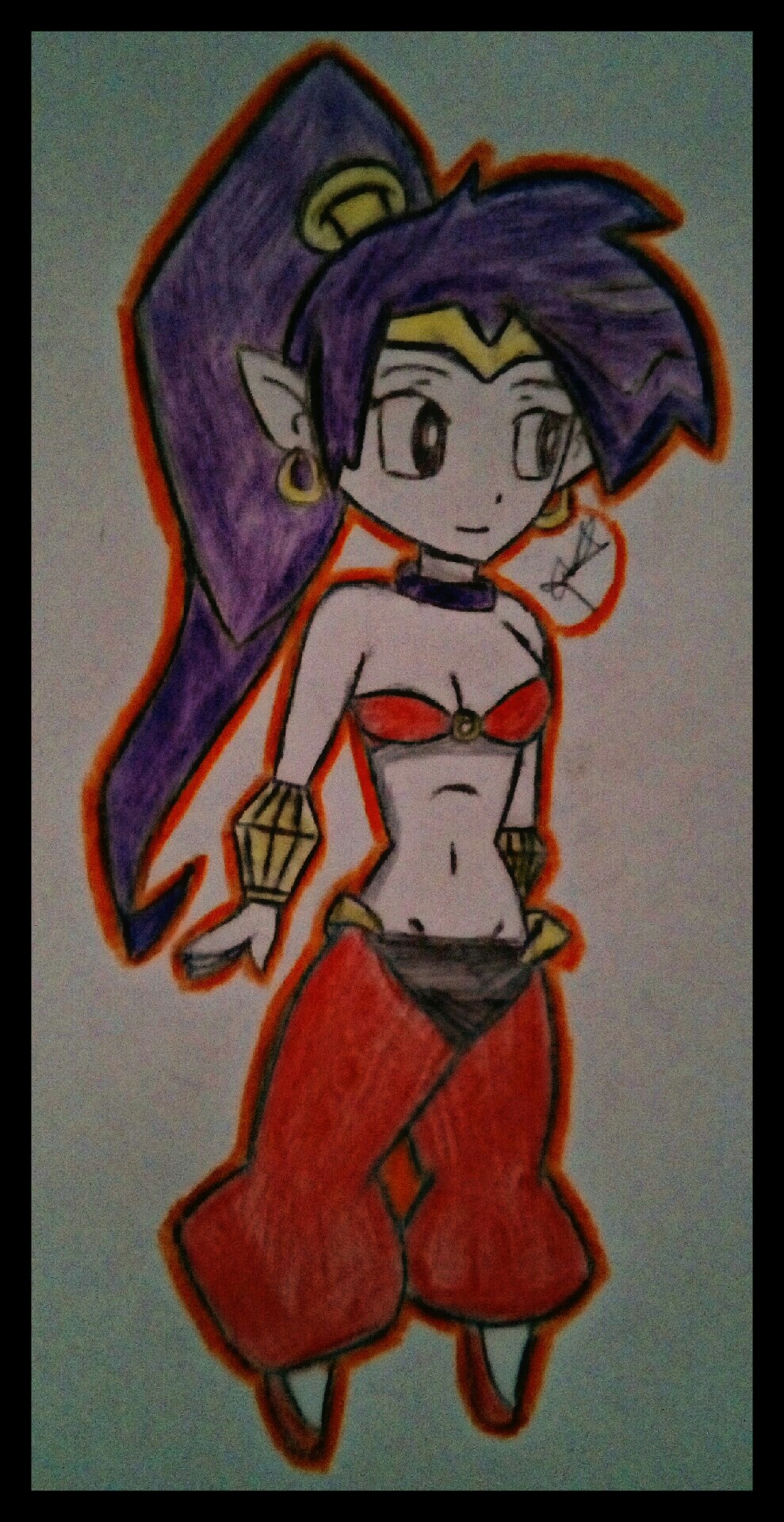 Shantae half genie hero