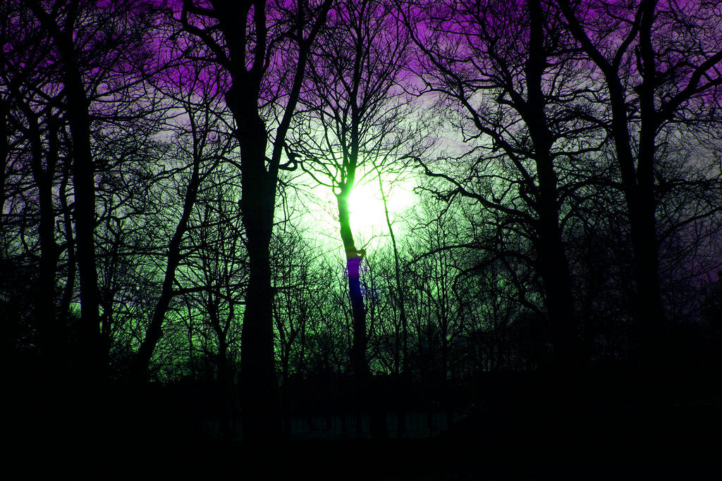 Freaky Trees by Supahpossum on DeviantArt