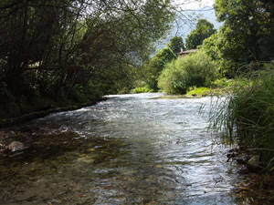 River view