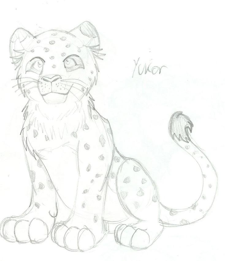 Snow leopard - Yukor