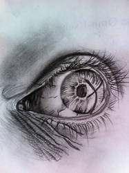 Eye