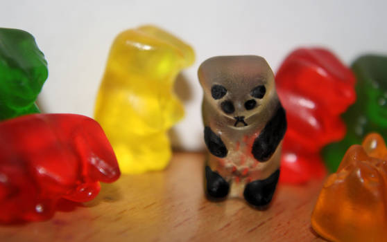 January 21 - Gummy Panda