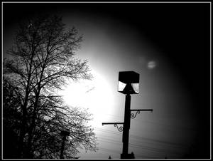 Streetlight in Black and White