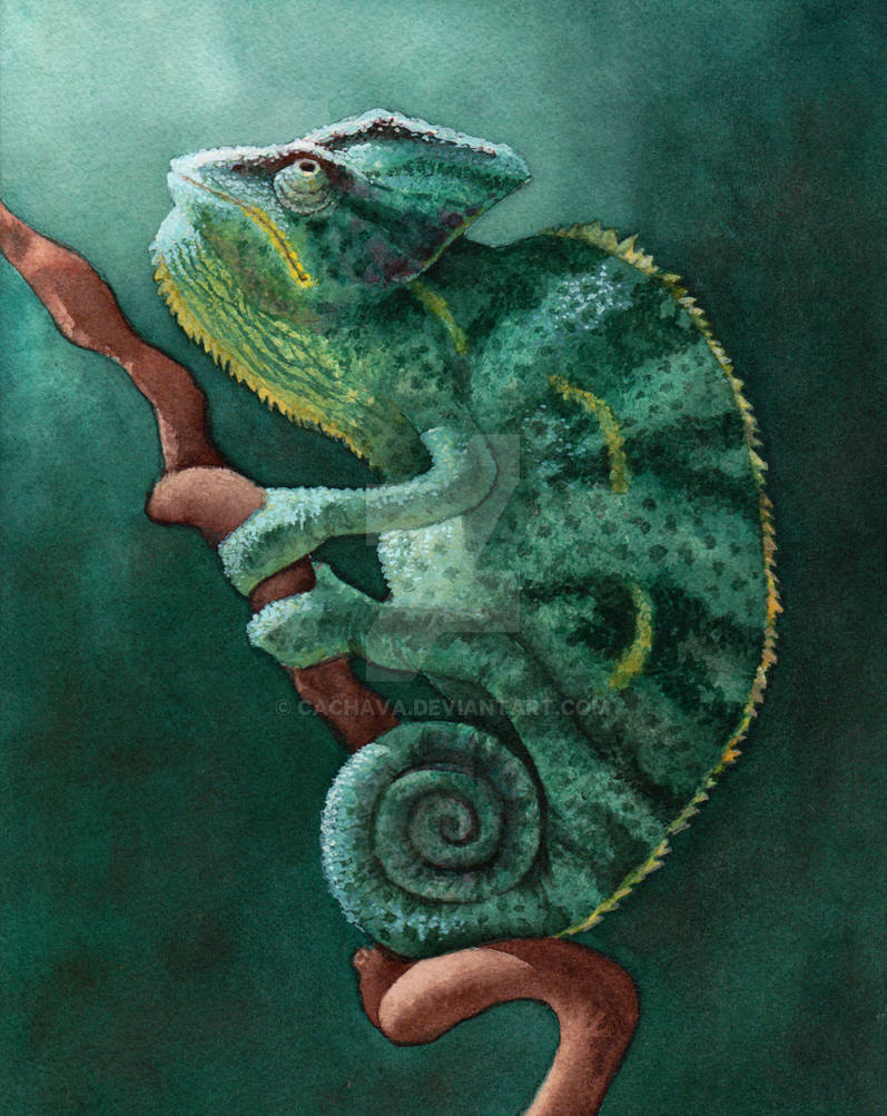 Chameleon Watercolor by cachava