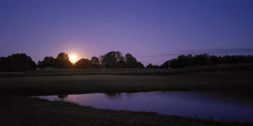 Moonrise in a Violet Sky