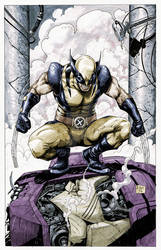 Wolverine sentinel colors