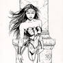 WONDER WOMAN INK