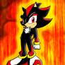 Shadow the hedgehog fire