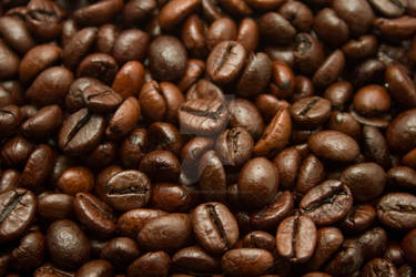 coffe bean