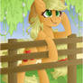 My Little Pony Applejack