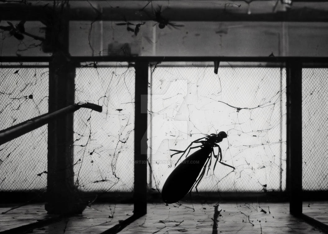 Paranormal Insects Paranormal Experiment # Escaped Insects 002 by mrt3ddybear on DeviantArt
