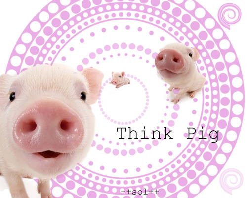 Think Pig