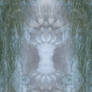 A Tree in the Garden of Eden memebrane crop2